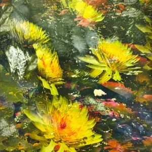 Ames - Carroll Creek Waterlilies 1 - Photography