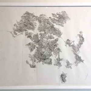 Connors - Anthropasia No 21 - Pen/Ink