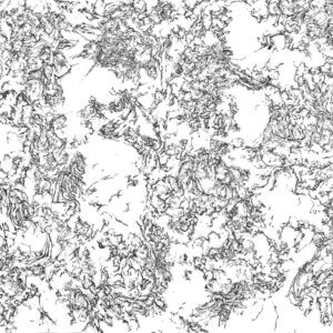 Connors - BRAND - Pen/Ink