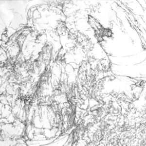 Connors - DISC C3 - Pen/Ink