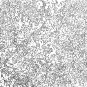 Connors - Holosex - Pen/Ink