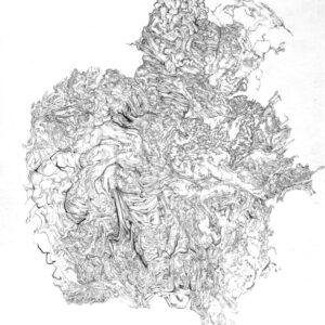 Connors - Jessica - Pen/Ink