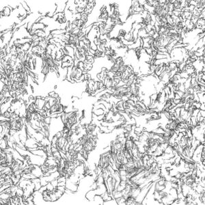 Connors - PSUSD - Mixed media