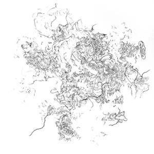 Connors - Rooty Tooty - Pen/Ink