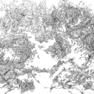 Connors - Weer - Pen/Ink