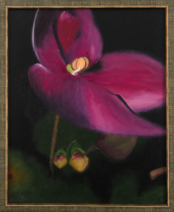 Massaro - Viola - Oil paint