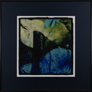 Lavenant-Wink - Underwater - Photography