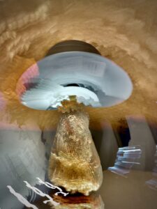 Ames - Canopy - Photography