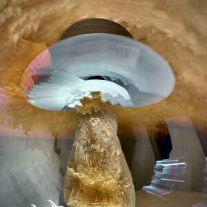 Ames - Canopy - Photography